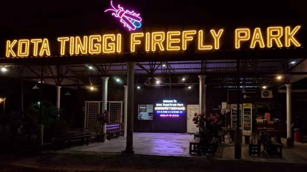 firefly-river-cruise